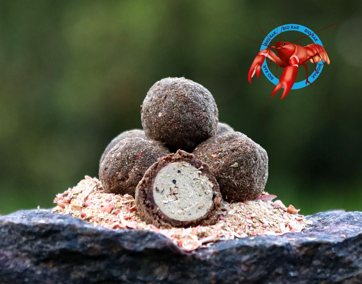 bio rak 4D 2020 logo rak